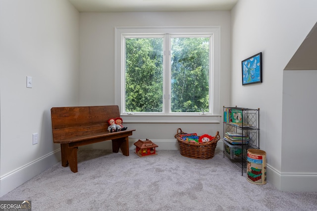 game room featuring baseboards and carpet flooring