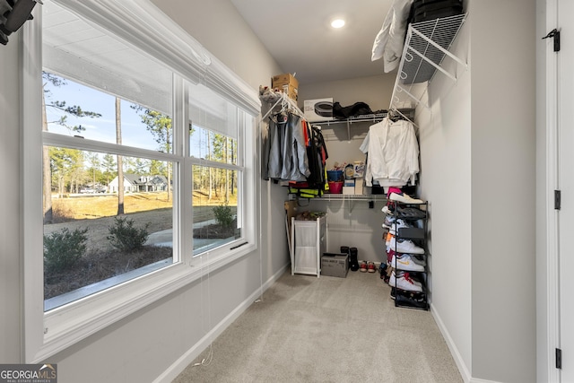 walk in closet featuring carpet flooring