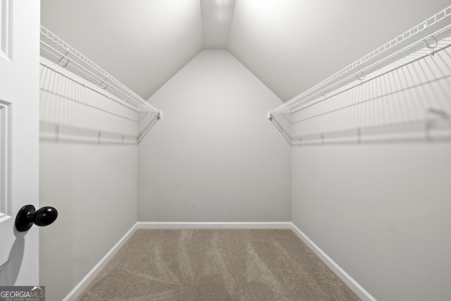 spacious closet featuring vaulted ceiling and carpet floors