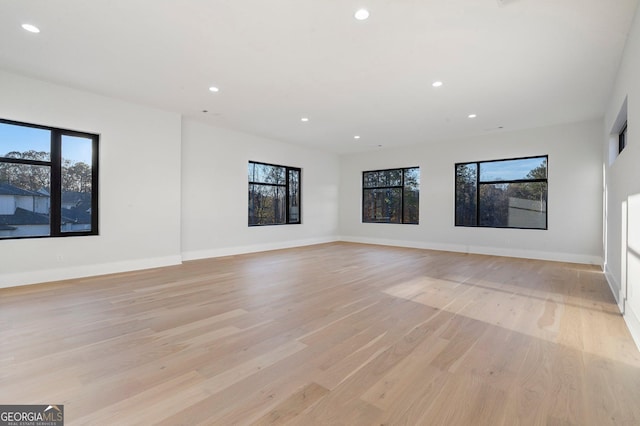 empty room featuring plenty of natural light and light hardwood / wood-style floors