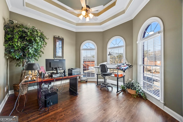 office with dark hardwood / wood-style flooring, crown molding, a raised ceiling, and ceiling fan