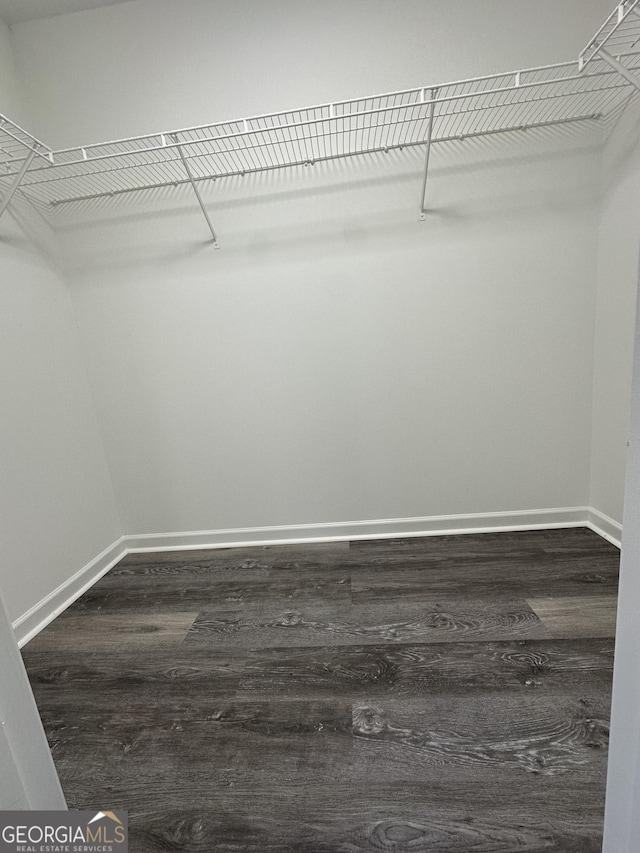 walk in closet with dark hardwood / wood-style flooring