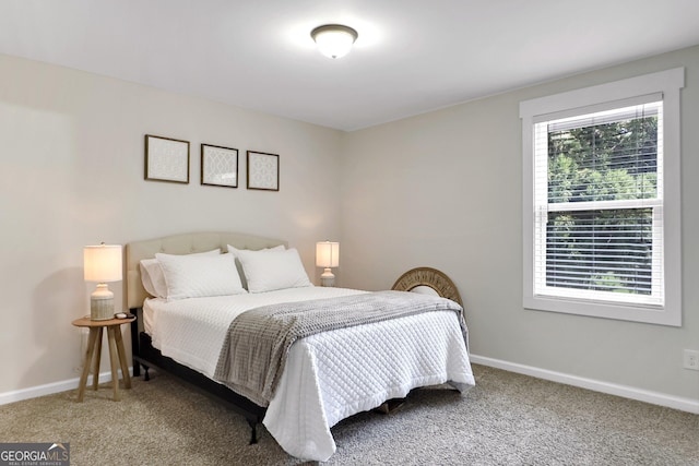 10 Plum Blossom Ln, Hampton, GA 30228 - bedroom with carpet flooring and baseboards