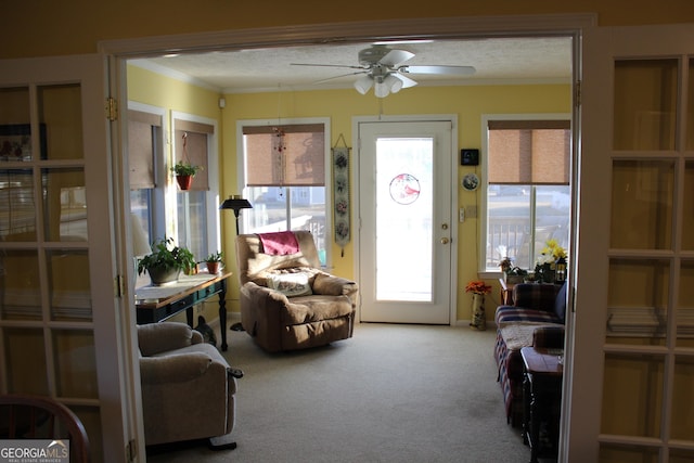 living area featuring crown molding, ceiling fan, carpet flooring, and a textured ceiling