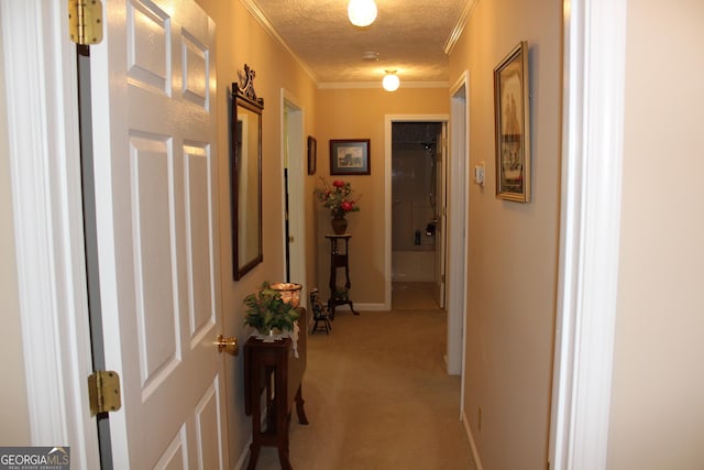 hall featuring ornamental molding, light colored carpet, and a textured ceiling