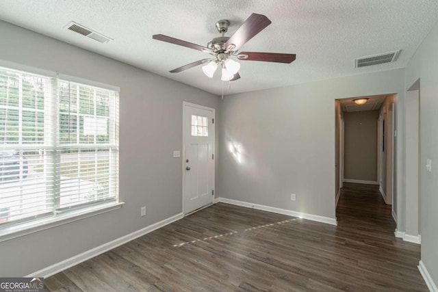 foyer featuring dark hardwood / wood-style flooring, a textured ceiling, and a wealth of natural light