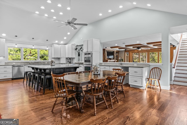 dining area with ceiling fan, a healthy amount of sunlight, and wood-type flooring