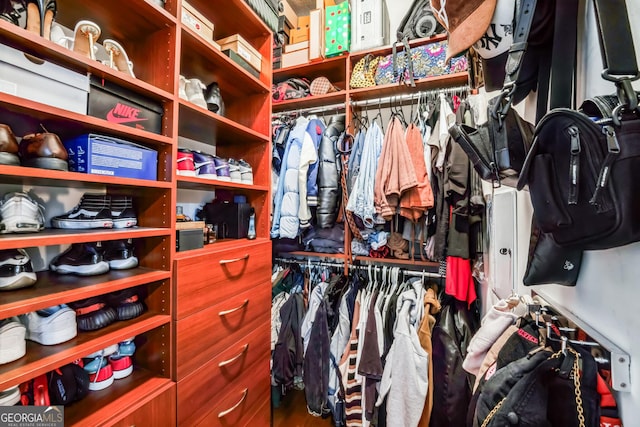 view of spacious closet