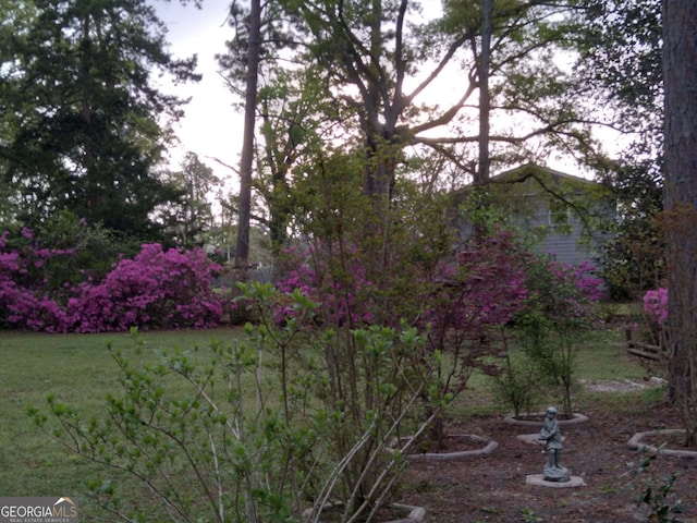 exterior space with a lawn