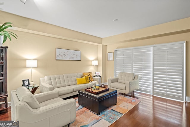 living room featuring wood-type flooring