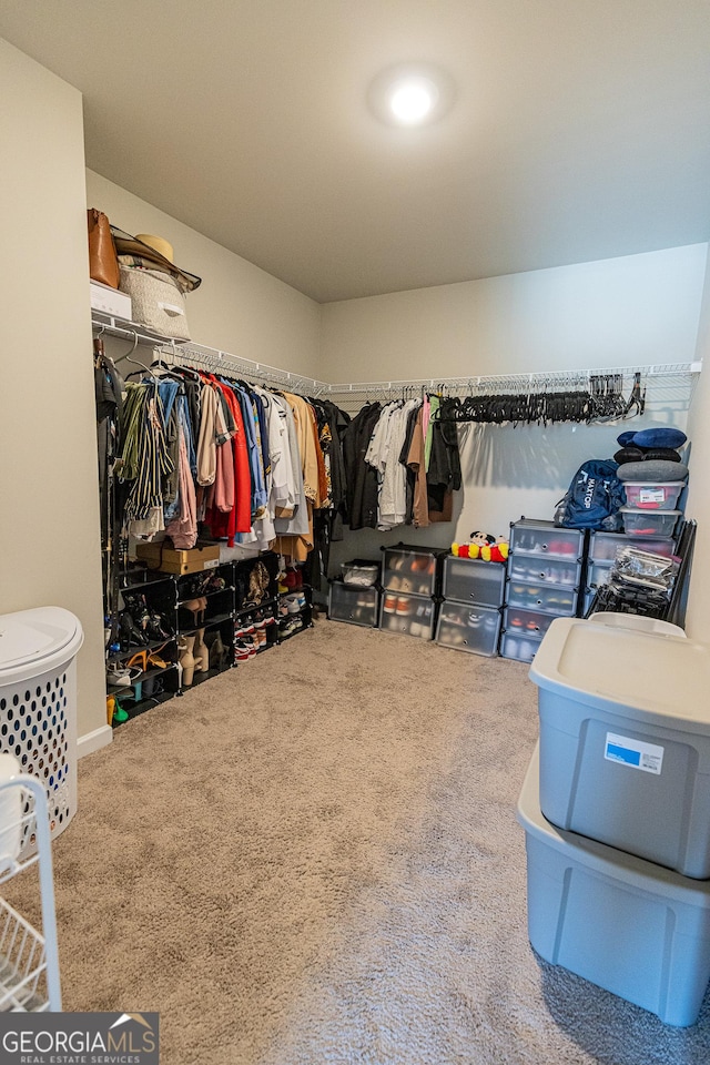 spacious closet featuring carpet floors