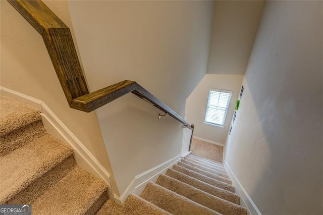 stairway featuring carpet floors