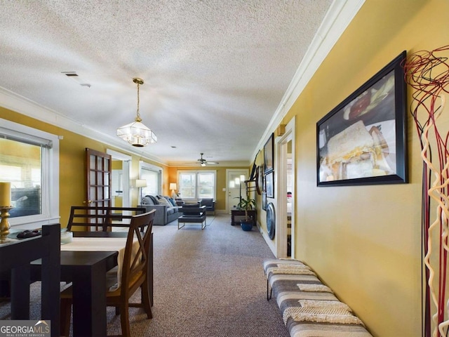 carpeted dining area with ornamental molding, ceiling fan, and a textured ceiling