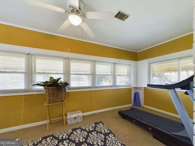 workout area featuring ornamental molding, ceiling fan, and carpet