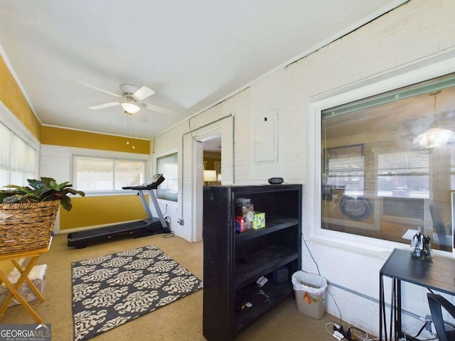 exercise area featuring light carpet, ceiling fan, and brick wall