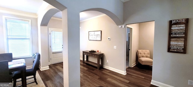 interior space featuring crown molding, a healthy amount of sunlight, and dark hardwood / wood-style floors