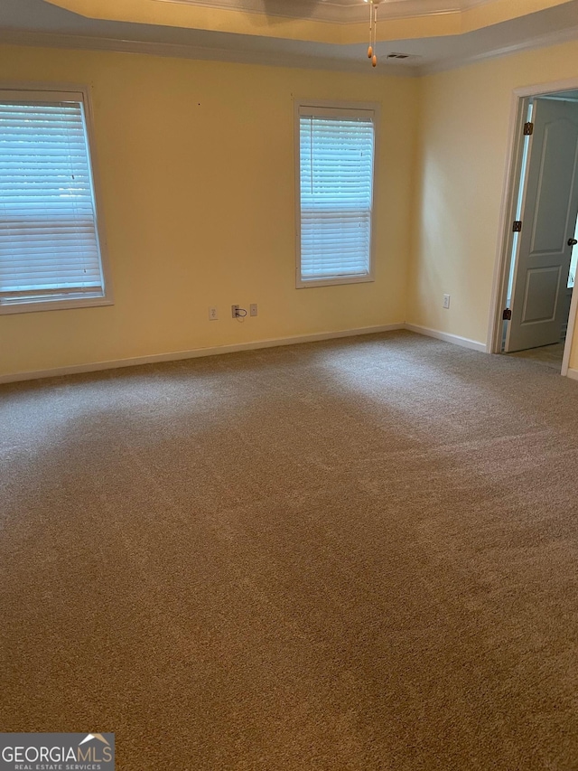 spare room featuring crown molding, a tray ceiling, and carpet floors