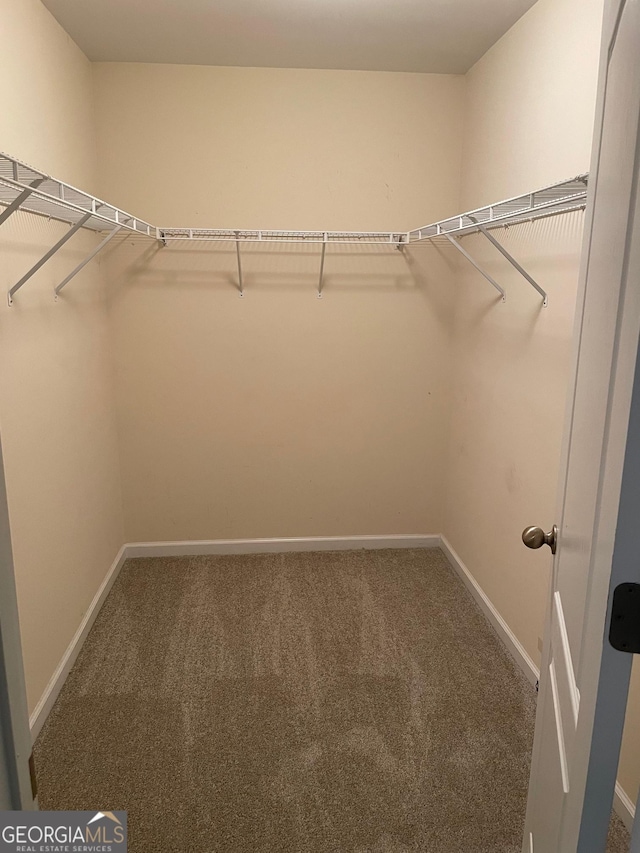 spacious closet featuring carpet flooring