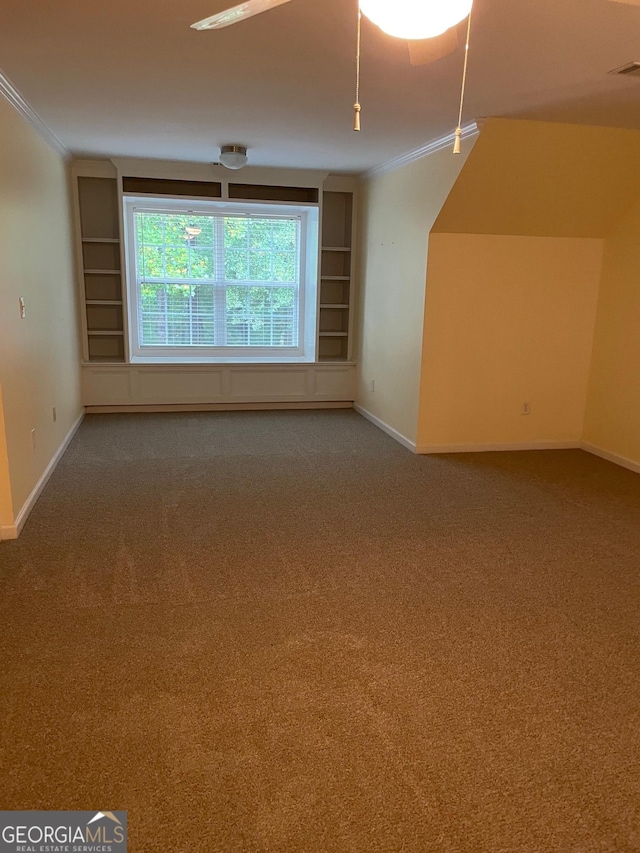 bonus room with built in shelves and carpet flooring