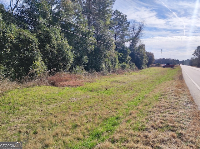 - State Route 90 Road, Oglethorpe GA, 31068 land for sale