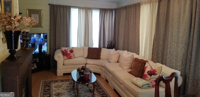 living room featuring wood-type flooring