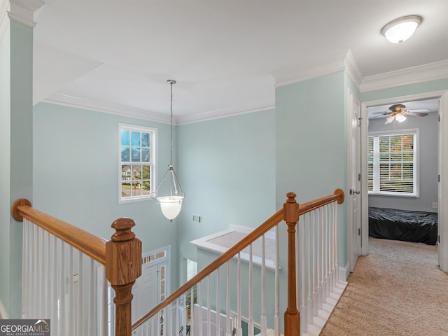 hallway featuring ornamental molding and carpet flooring