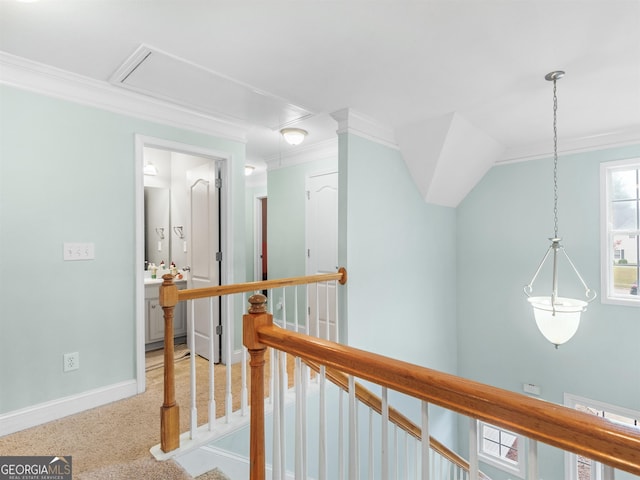 corridor featuring crown molding and carpet flooring