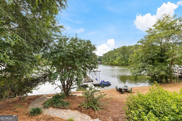 view of water feature with a boat dock