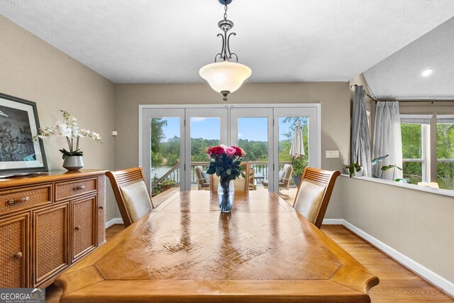 dining space featuring a wealth of natural light and light hardwood / wood-style flooring