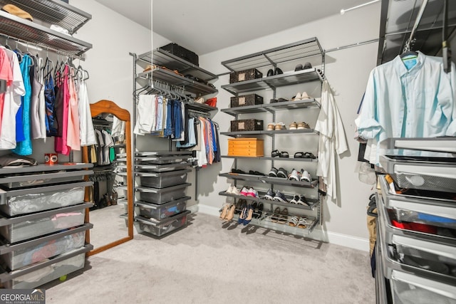 walk in closet with light carpet