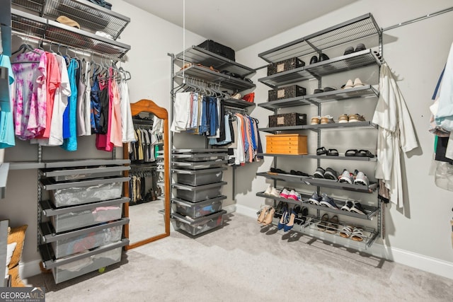 spacious closet with light carpet