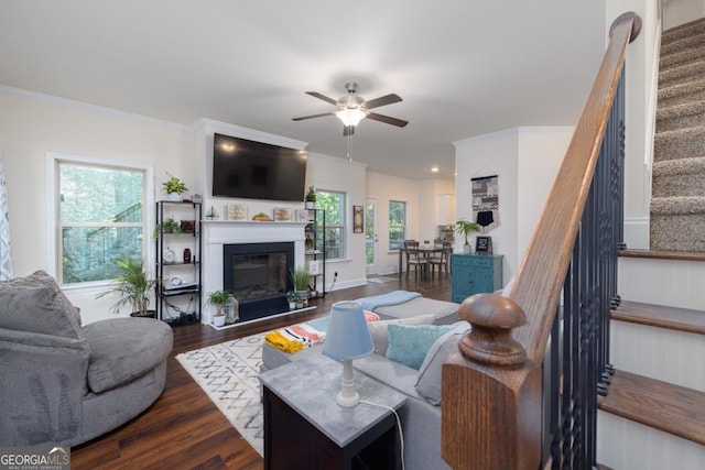 living room with wood-type flooring, a wealth of natural light, and crown molding