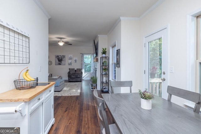 dining area with dark wood-type flooring, ceiling fan, and crown molding