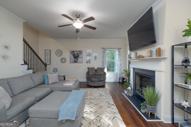 living room featuring dark wood-type flooring, ceiling fan, and ornamental molding