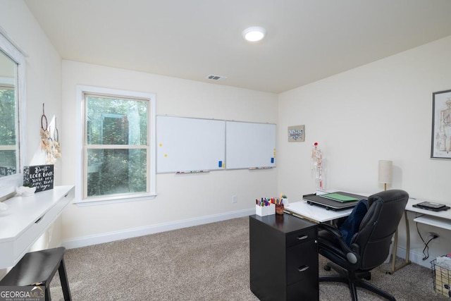 office with a healthy amount of sunlight and carpet flooring