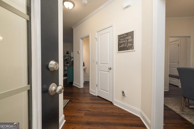 hallway featuring dark hardwood / wood-style flooring and ornamental molding