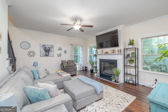 living room with ornamental molding, dark hardwood / wood-style floors, and ceiling fan