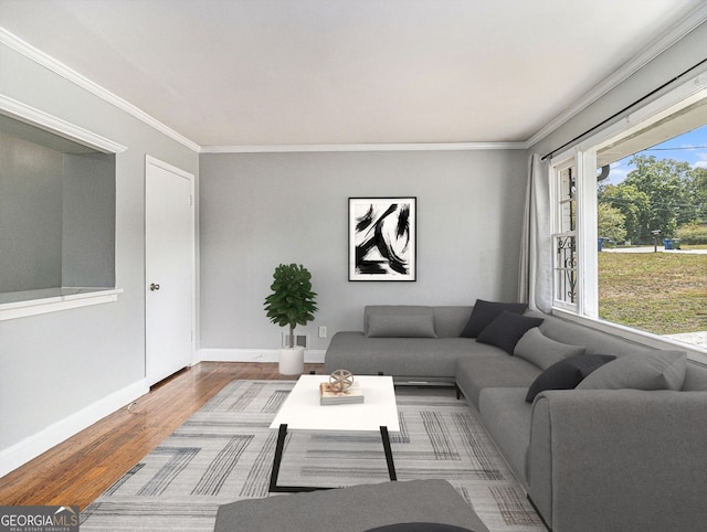 living area featuring crown molding, baseboards, and wood finished floors