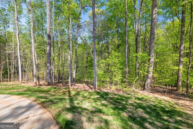 4226 Quail Creek Dr, Flowery Branch, GA 30542 - view of yard featuring a forest view