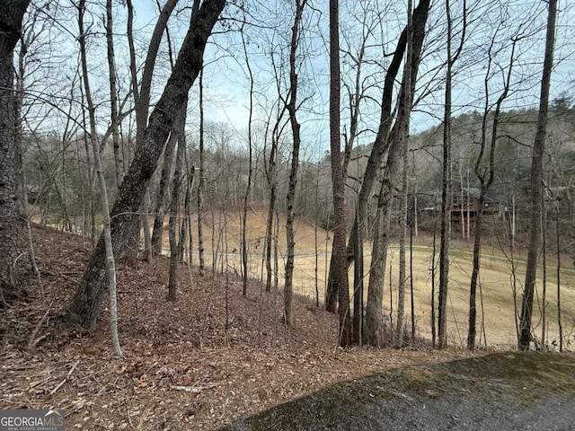 LOT100 Kingwood Ct, Clayton GA, 30525 land for sale