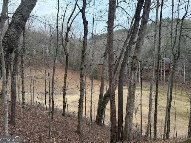 Listing photo 3 for LOT100 Kingwood Ct, Clayton GA 30525