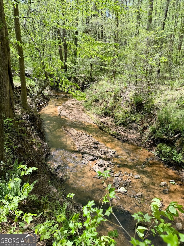 view of local wilderness