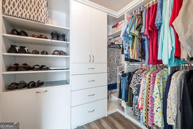 spacious closet featuring hardwood / wood-style flooring