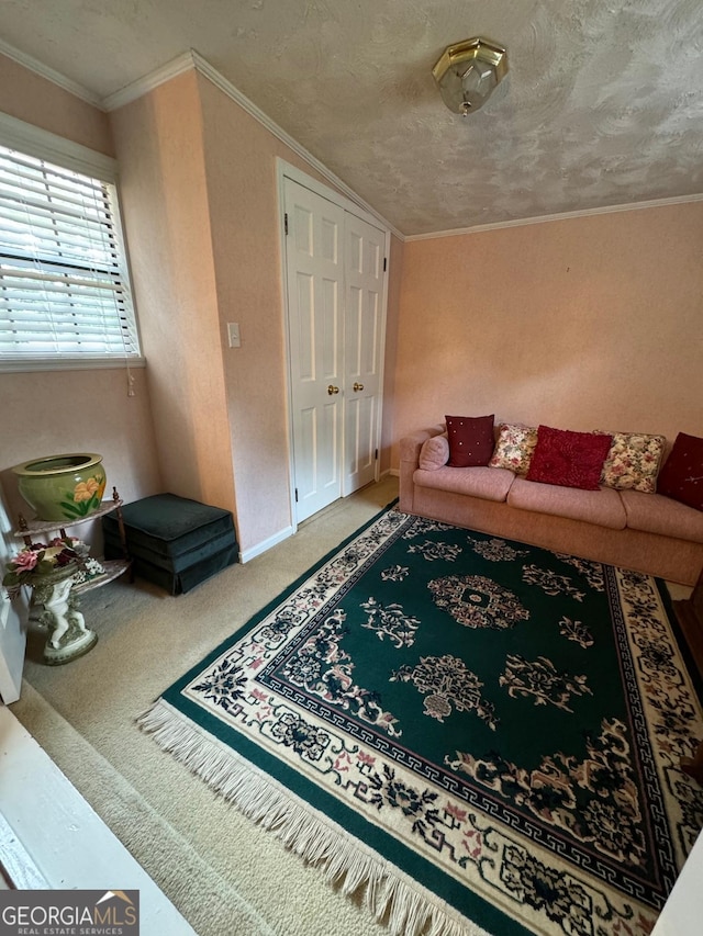 carpeted living room with ornamental molding and a textured ceiling