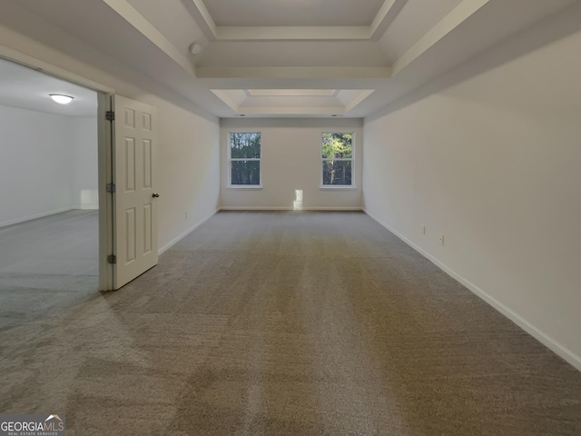 spare room with a raised ceiling and carpet flooring