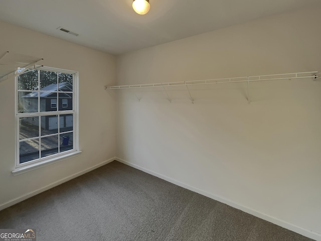 walk in closet with carpet