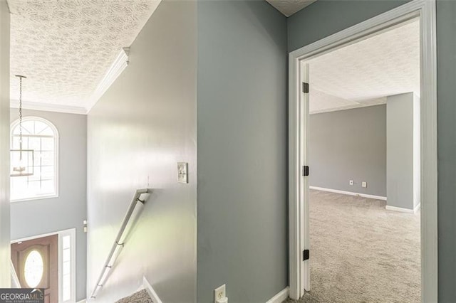 interior space with crown molding, carpet flooring, and a textured ceiling