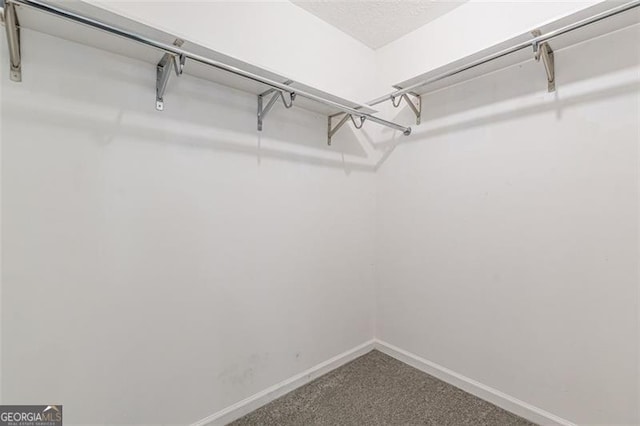 spacious closet with carpet floors