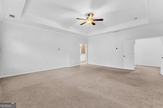 empty room with light colored carpet and a tray ceiling