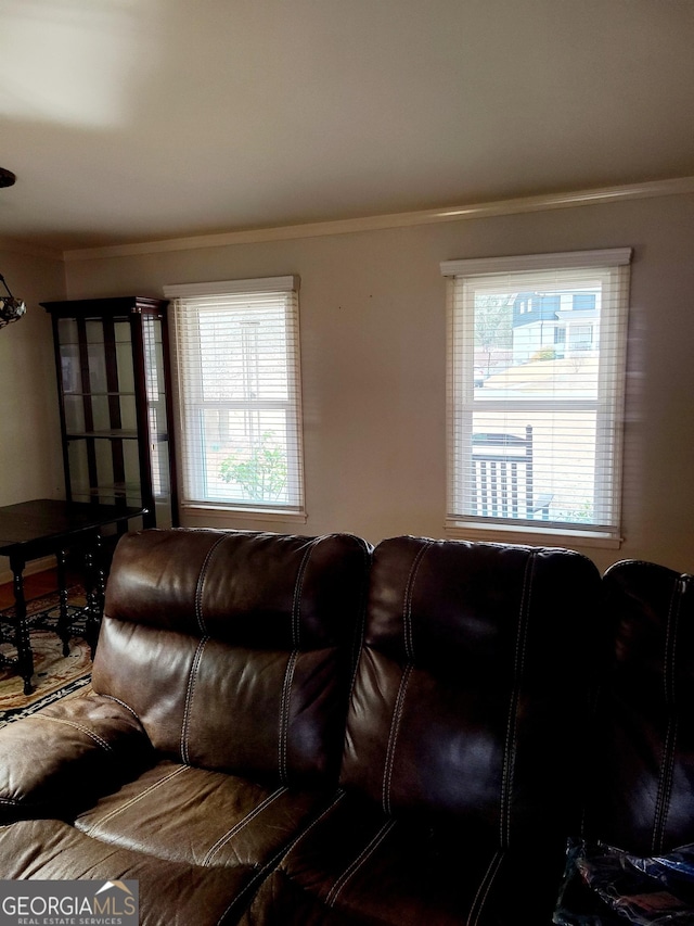 living room featuring crown molding